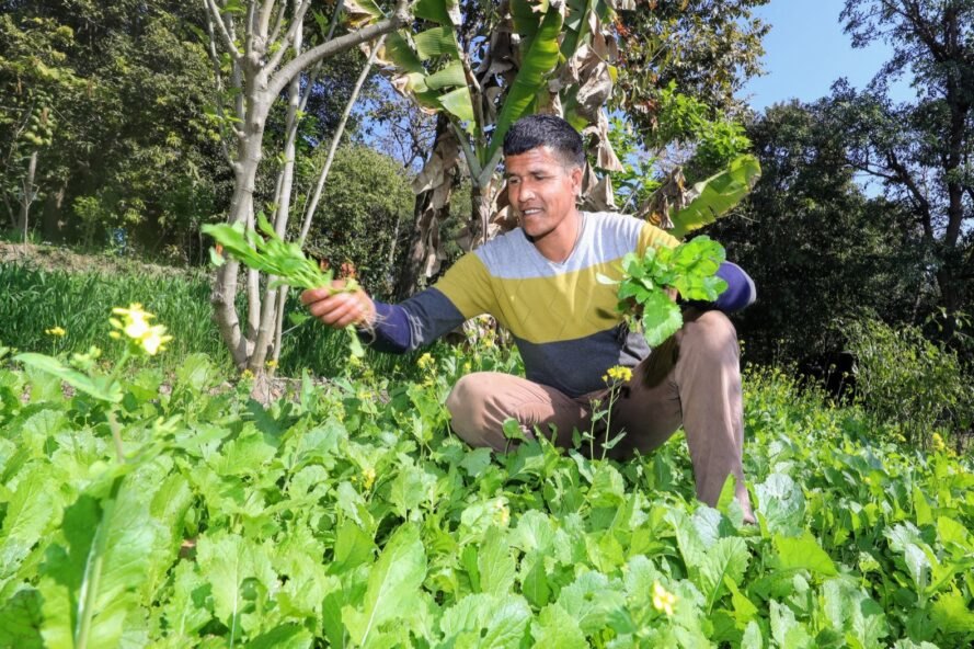 Ngôi trường đất nện giữa lòng Nepal