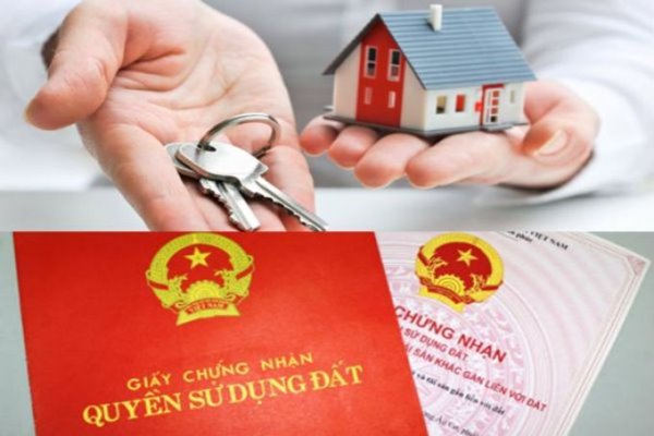 cấp giấy chứng nhận quyền sử dụng đất