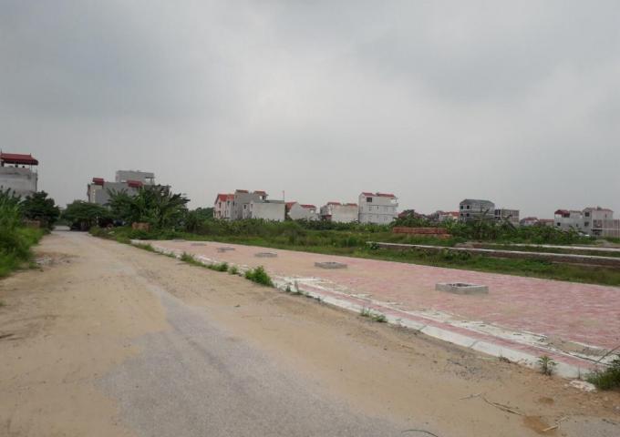 Một góc huyện Đan Phượng, Hà Nội với con đường nhựa phủ đầy cát cạnh vỉa hè trống trơn, xa xa là những ngôi nhà mái đỏ, cây xanh.