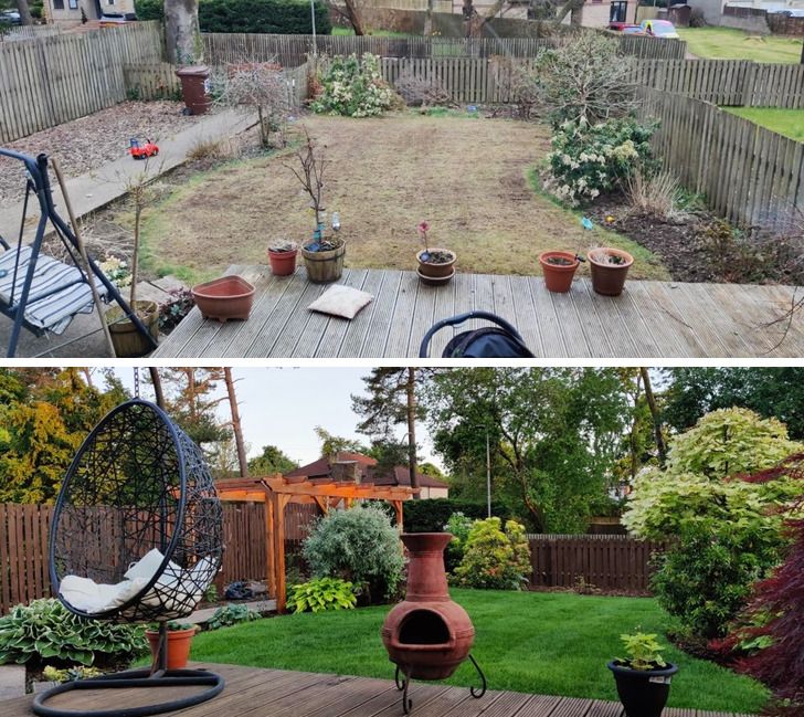 Vườn nhà trước và sau cải tạo