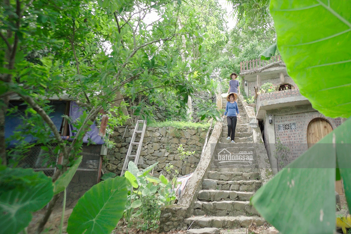 Bậc thang dẫn lên ngôi nhà trên đồi