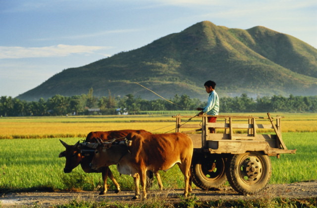 Trung Quốc: Gần một nửa nông dân bị thu hồi đất | ảnh 1