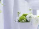                          Cách dùng hoa tươi hợp phong thủy mang tài lộc vào nhà                     