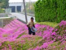                          Khu vườn tuyệt đẹp dành tặng người vợ mù của ông lão Nhật Bản                     