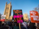                          Hàng nghìn người dân London tuần hành phản đối chính sách nhà ở                     