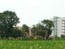                          Hà Nội: Phê duyệt quy hoạch 2 bên đường Dốc Hội - Đại học Nông nghiệp                     