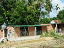                          Đà Nẵng: Cắt chức Chủ tịch quận nếu để xảy ra tình trạng xây nhà trái phép                     