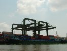                          Chi 5.800 tỷ xây dựng cụm cảng trung chuyển tại phường Long Bình                     