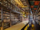                          Khám phá thư viện hơn 500 tuổi ở Đại học Oxford                     