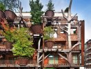                          Kiến trúc nhà độc đáo bao bọc bởi 150 cây xanh                     
