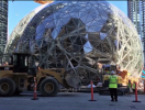                          Amazon xây khu công viên trong nhà cho nhân viên                     