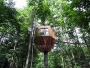                          Nhà “tổ chim” trên cây sồi trăm tuổi ở Pháp                     