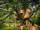                          Khám phá ngôi nhà tiện nghi trên cây lớn nhất nước Anh                     