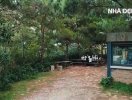                          Hidden Villa - ngôi nhà ẩn giữa rừng thông ở Hà Nội                     