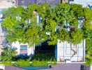                          KTS Võ Trọng Nghĩa trồng cây xanh trên mái nhà                     