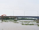                          Làm 3 cây cầu kết nối trục TP.HCM - Long An - Tiền Giang                     